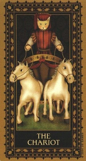 Chariot - Medieval Cat Tarot - Lawrence Teng