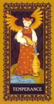 Temperance - Medieval Cat Tarot - Lawrence Teng