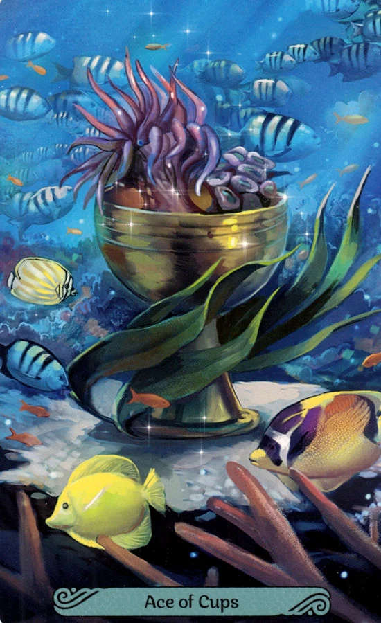 Ace of Cups card from the Mermaid Tarot deck