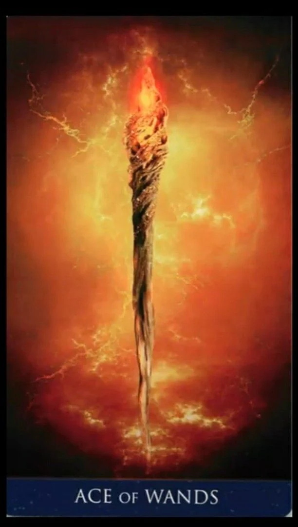 Ace of Wands - Millenium Thoth Tarot - Renata Lechner