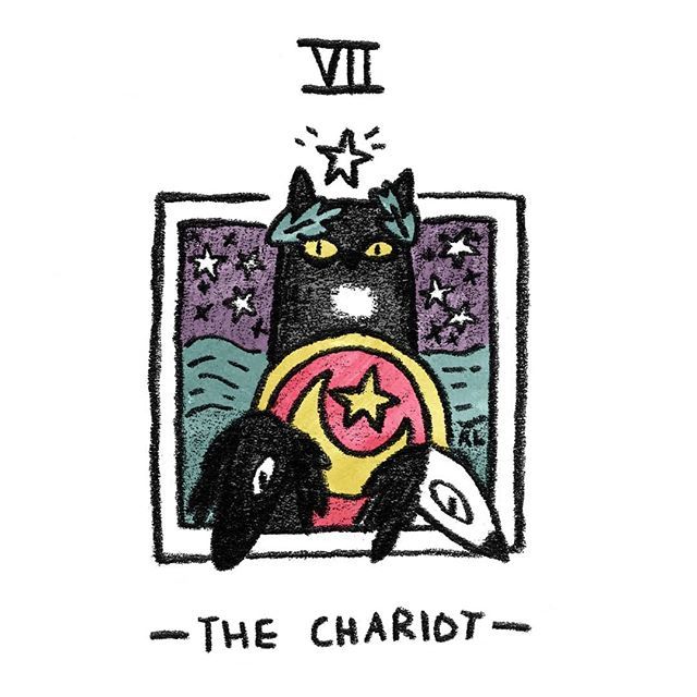 The Chariot card from the Mini Cat Tarot deck