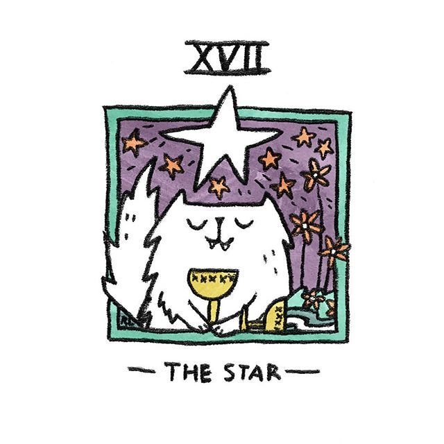 The Star card from the Mini Cat Tarot deck