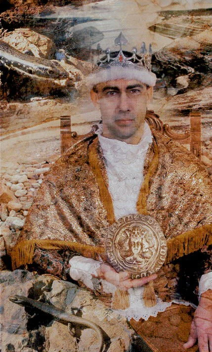 King of Coins - Modern Medieval Tarot - Shayn Amber Wetherell and Tim Wetherell