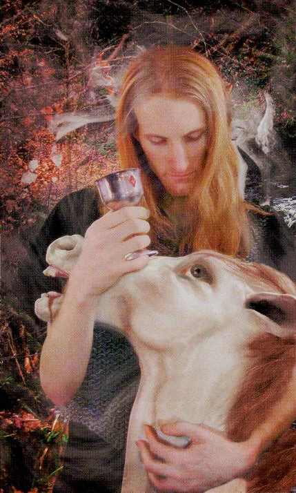 Knight of Cups - Modern Medieval Tarot - Shayn Amber Wetherell and Tim Wetherell