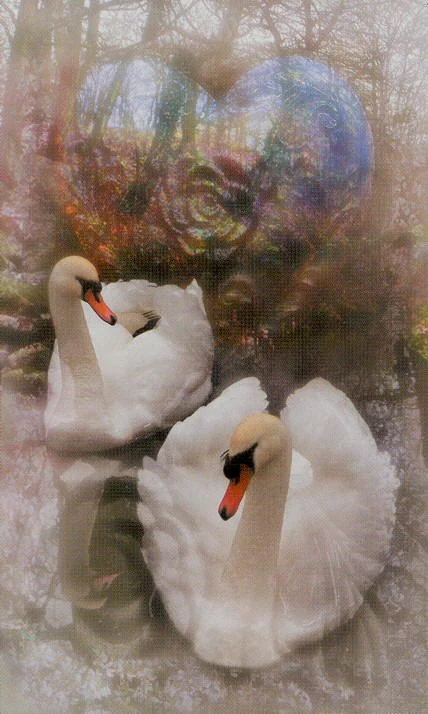 The Lovers - Modern Medieval Tarot - Shayn Amber Wetherell and Tim Wetherell