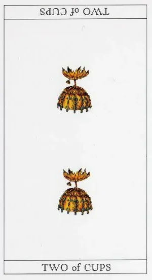 The Moon Princess Himoko Tarot Review 9 2 of Cups card from The Moon Princess Himoko Tarot
