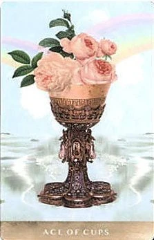 Ace of Cups - The Moonchild Tarot - Danielle Noel