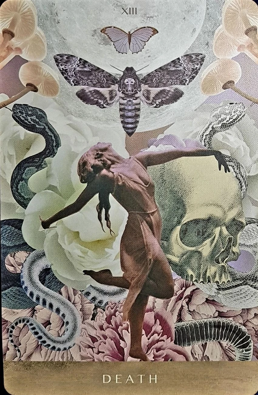 Death - The Moonchild Tarot - Danielle Noel