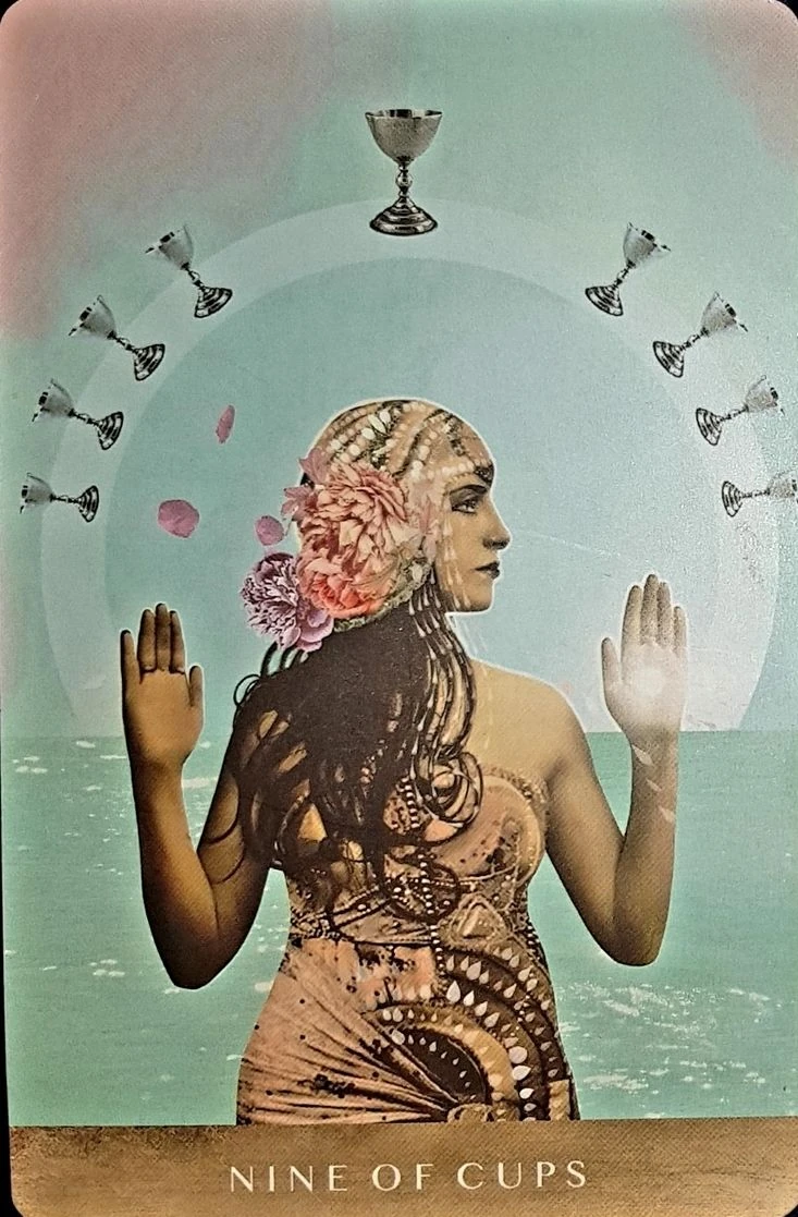 Nine of Cups - The Moonchild Tarot - Danielle Noel