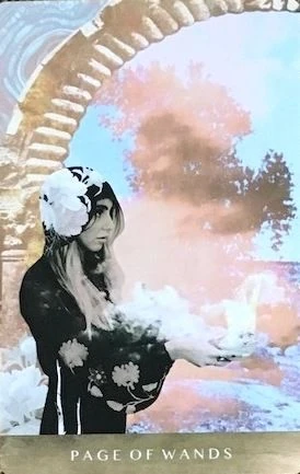 Page of Wands - The Moonchild Tarot - Danielle Noel
