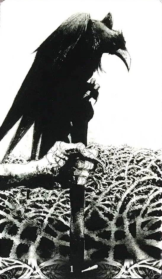 Ace of Wands - Murder of Crows Tarot - Corrado Roi
