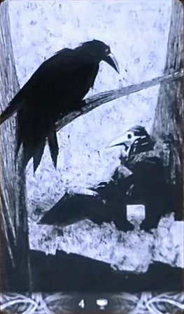 Four of Cups - Murder of Crows Tarot - Corrado Roi