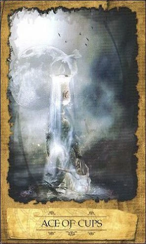 Ace of Cups - Mystic Dreamer Tarot - Heidi Darras