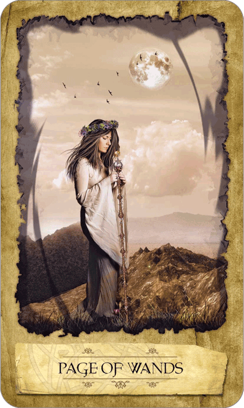 Page of Wands - Mystic Dreamer Tarot - Tarot Deck by Heidi Darras, companion text by Barbara Moore