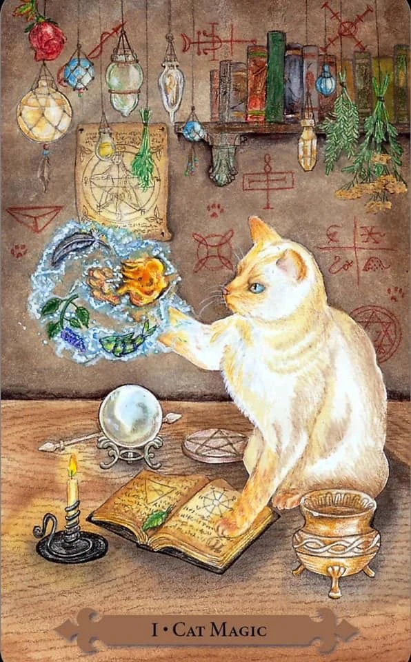 Cat Magic from Mystical Cats Tarot by Lunaea Weatherstone, art by Mickie Mueller