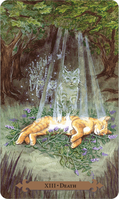 Death — Mystical Cats Tarot by Lunaea Weatherstone, art by Mickie Mueller