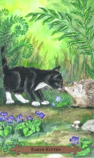 Earth Kitten — Mystical Cats Tarot by Lunaea Weatherstone, art by Mickie Mueller