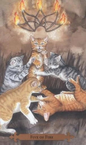 Five of Fire — Mystical Cats Tarot by Lunaea Weatherstone, art by Mickie Mueller