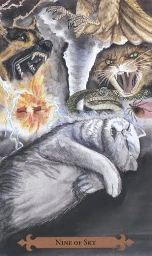 Nine of Sky — Mystical Cats Tarot by Lunaea Weatherstone, art by Mickie Mueller