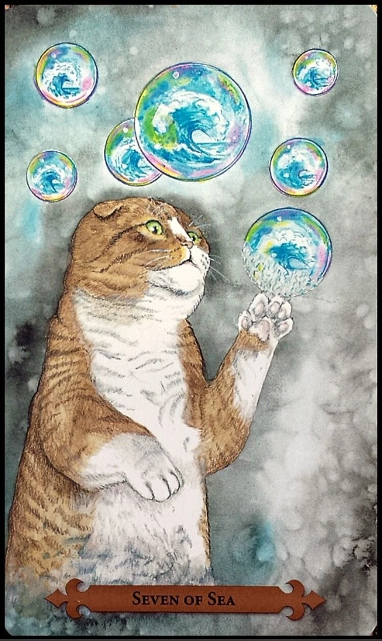 Seven of Sea — Mystical Cats Tarot by Lunaea Weatherstone, art by Mickie Mueller