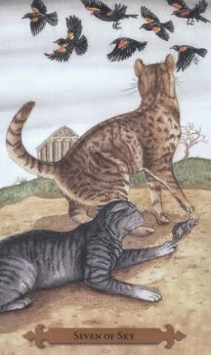 Seven of Sky — Mystical Cats Tarot by Lunaea Weatherstone, art by Mickie Mueller