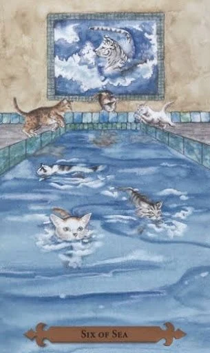 Six of Sea — Mystical Cats Tarot by Lunaea Weatherstone, art by Mickie Mueller