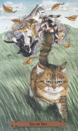 Six of Sky — Mystical Cats Tarot by Lunaea Weatherstone, art by Mickie Mueller