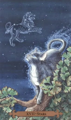 Stars from Mystical Cats Tarot