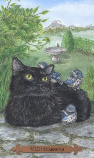 Strength from Mystical Cats Tarot