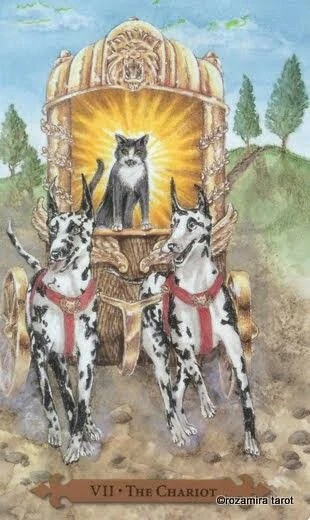 The Chariot — Mystical Cats Tarot by Lunaea Weatherstone, art by Mickie Mueller