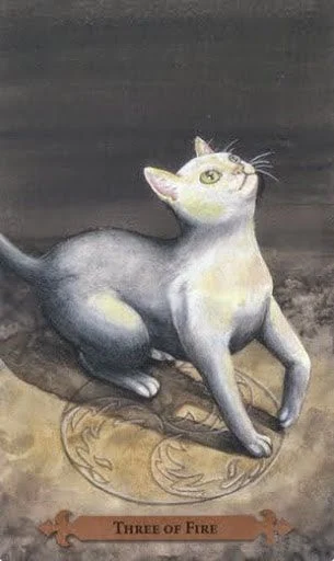Three of Fire — Mystical Cats Tarot by Lunaea Weatherstone, art by Mickie Mueller