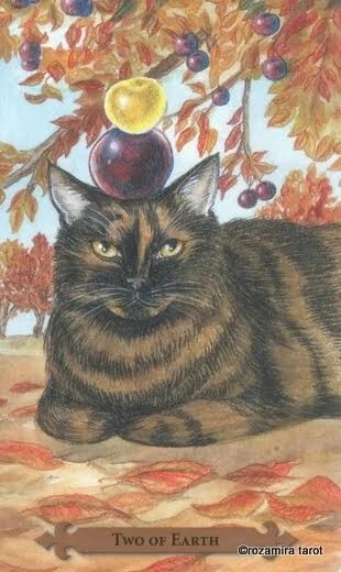 Two of Earth — Mystical Cats Tarot by Lunaea Weatherstone, art by Mickie Mueller