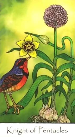 Knight of Pentacles from Nature Spirit Tarot by Jean Marie Herzel