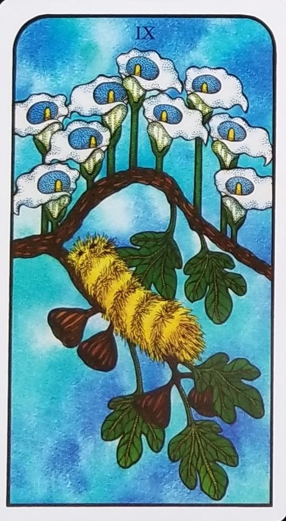 Nine of Cups from Nature Spirit Tarot by Jean Marie Herzel