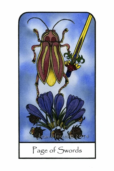 Page of Swords from Nature Spirit Tarot by Jean Marie Herzel
