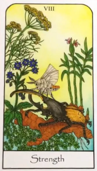 Strength from Nature Spirit Tarot by Jean Marie Herzel Strength from Nature Spirit Tarot by Jean Marie Herzel