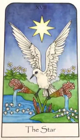 The Star from Nature Spirit Tarot by Jean Marie Herzel The Star from Nature Spirit Tarot by Jean Marie Herzel