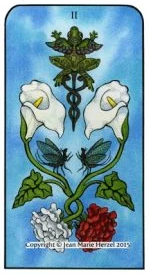 Two of Cups from Nature Spirit Tarot by Jean Marie Herzel