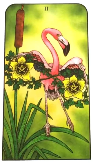 Two of Pentacles from Nature Spirit Tarot by Jean Marie Herzel