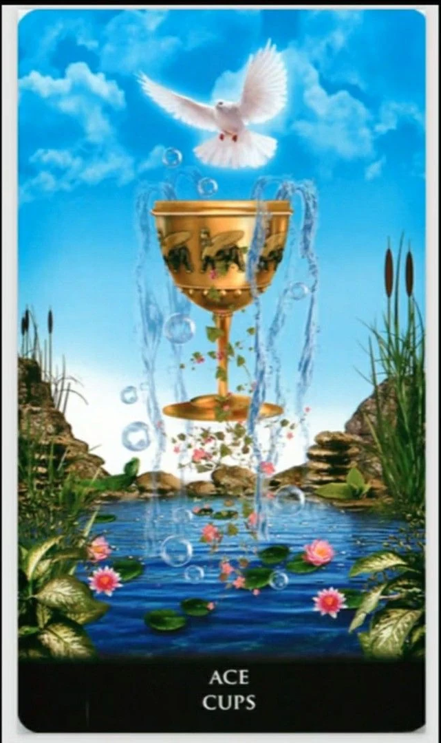 Ace of Cups - New Babylonian Tarot - Roxana Paul