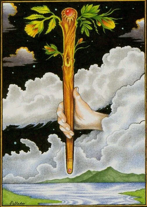 Ace of Wands - New Palladini Tarot - Tarot Deck by David Palladini Ace of Wands - New Palladini Tarot - Tarot Deck by David Palladini