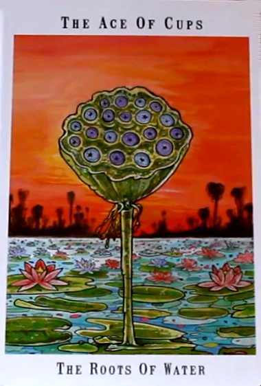 Ace of Cups card artwork from the Next World Tarot deck by Cristy C. Road