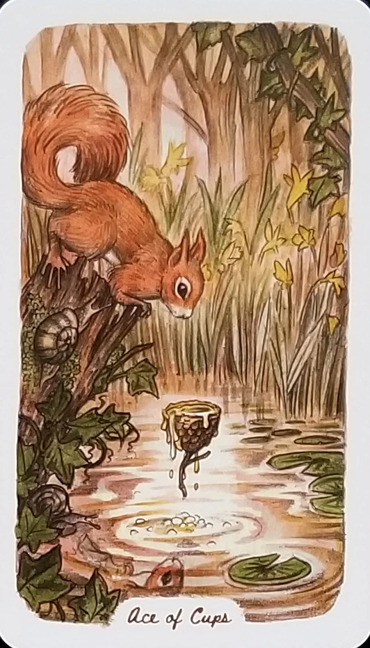 Ace of Cups - Oak, Ash & Thorn Tarot - Adam Oehlers