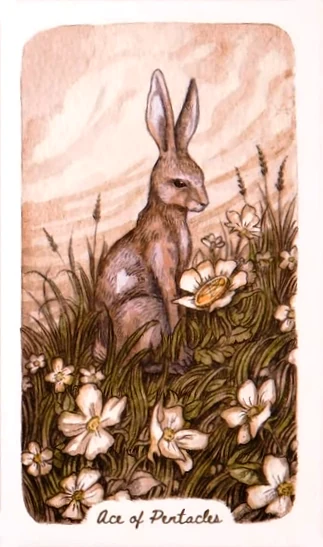 Ace of Pentacles - Oak, Ash & Thorn Tarot - Adam Oehlers