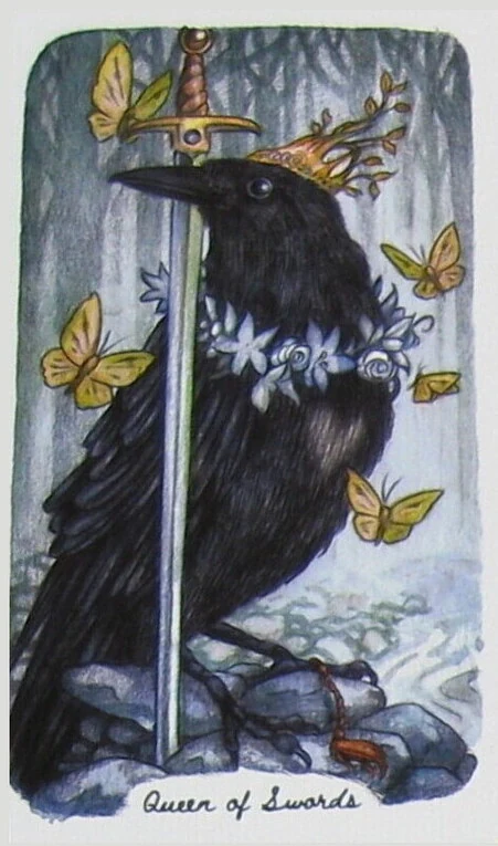 Queen of Swords - Oak, Ash & Thorn Tarot - Adam Oehlers