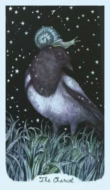 The Chariot - Oak, Ash & Thorn Tarot - Adam Oehlers