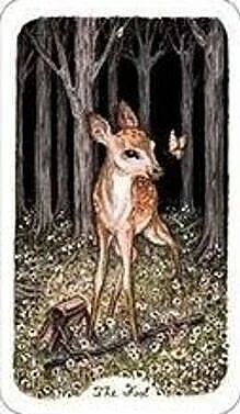 Oak, Ash, & Thorn Tarot Review