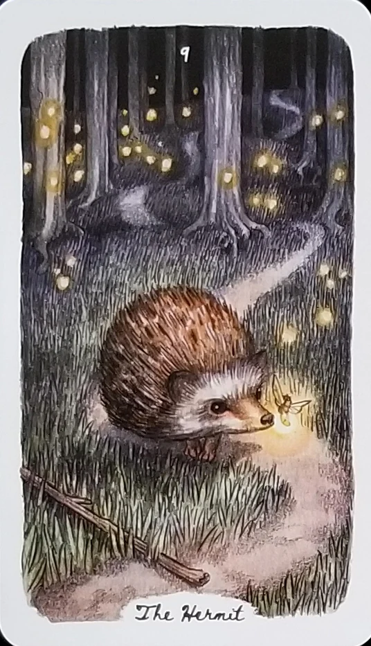 The Hermit - Oak, Ash & Thorn Tarot - Adam Oehlers