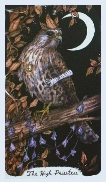 The High Priestess - Oak, Ash & Thorn Tarot - Adam Oehlers