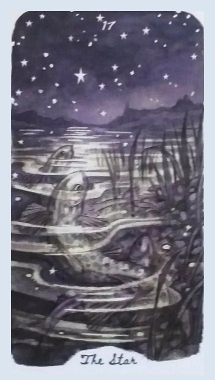 The Star - Oak, Ash & Thorn Tarot - Adam Oehlers